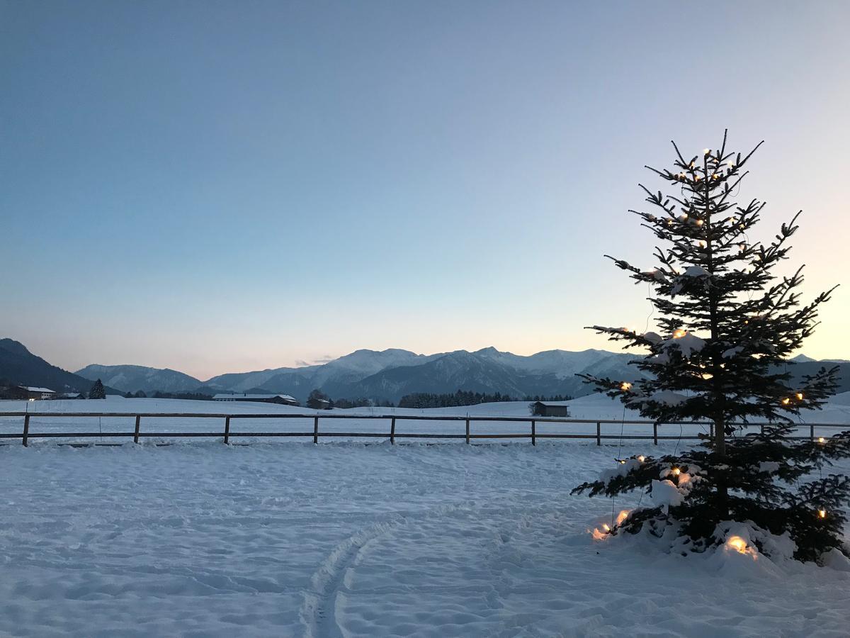 Hotel Landgasthof Alter Wirt Fischbachau Exteriör bild